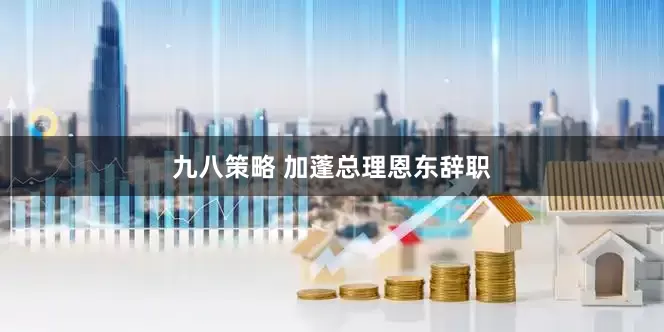 九八策略 加蓬总理恩东辞职