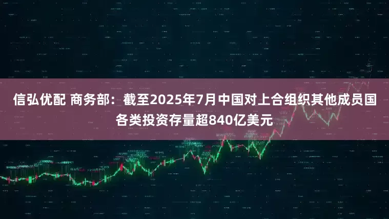信弘优配 商务部：截至2025年7月中国对上合组织其他成员国各类投资存量超840亿美元