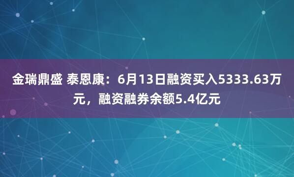 金瑞鼎盛 泰恩康：6月13日融资买入5333.63万元，融资融券余额5.4亿元
